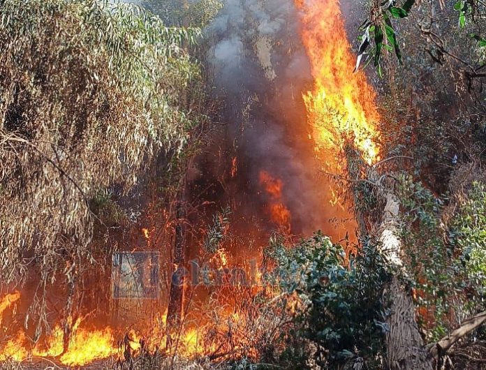 Primer incendio forestal en Catemu ocurrió en el sector de Santa Rosa (Imagen de archivo).