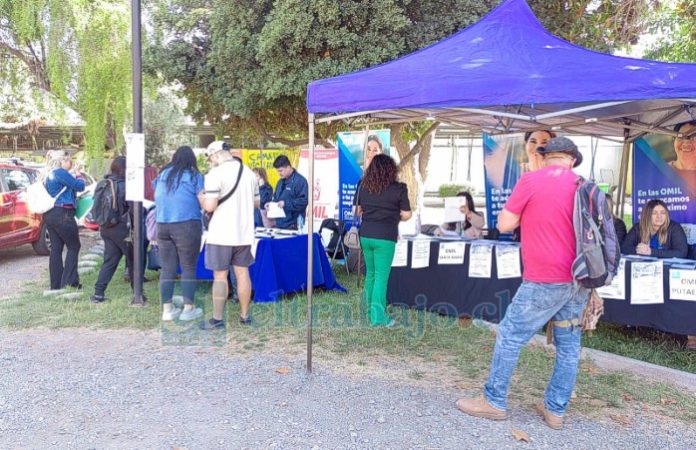 Este martes 25 de noviembre se desarrolló la jornada InterOMIL, instancia que ofreció más de 100 puestos de trabajo de diversa índole.