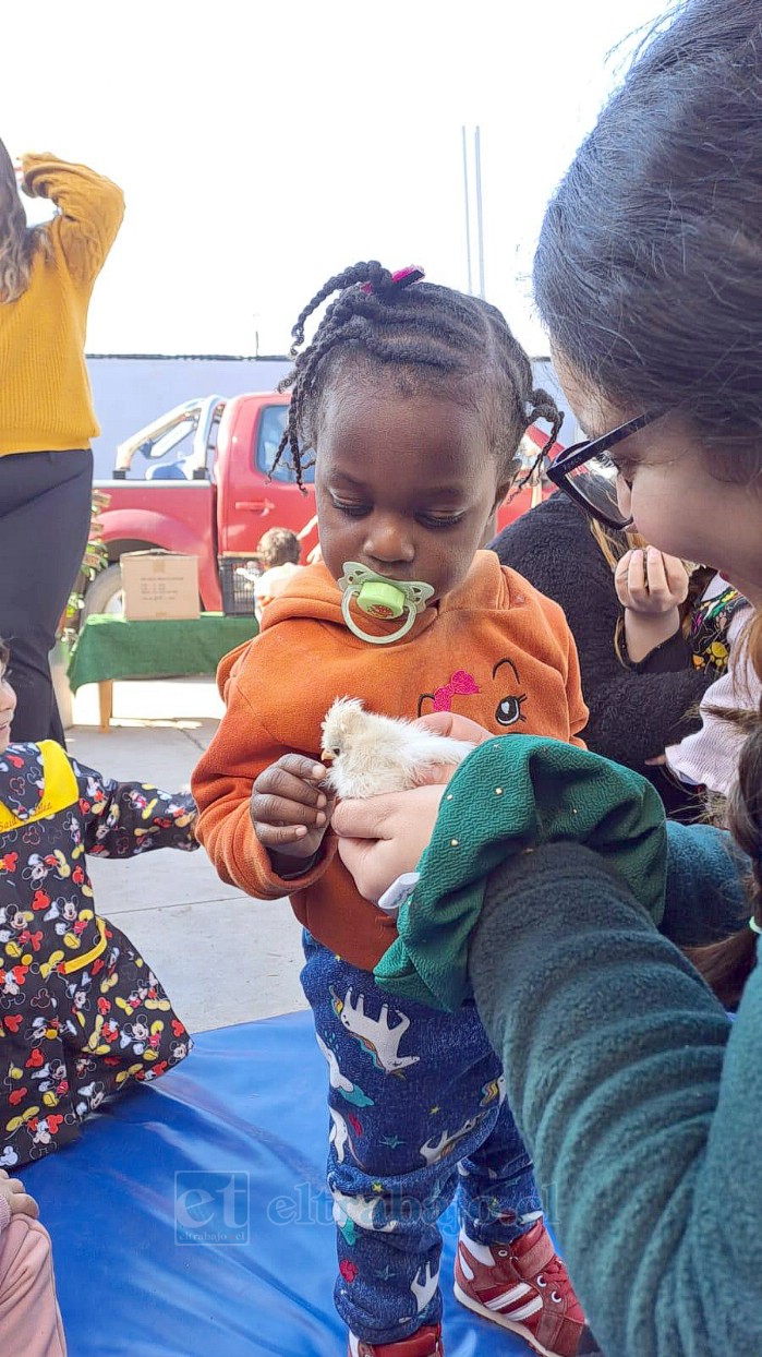 Los niños y niñas desarrollan prácticas de cuidado del entorno, como el cultivo de plantas, la creación de huertas y el reciclaje.