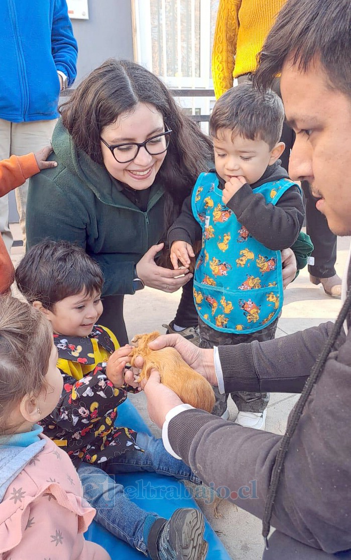 Las visitas de animales permiten a los niños conocer y valorar distintas formas de vida.