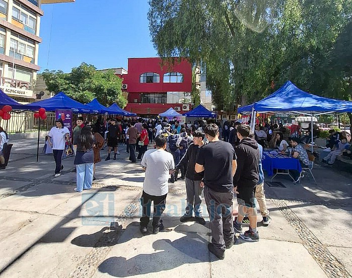 Cientos de escolares participaron de la actividad.