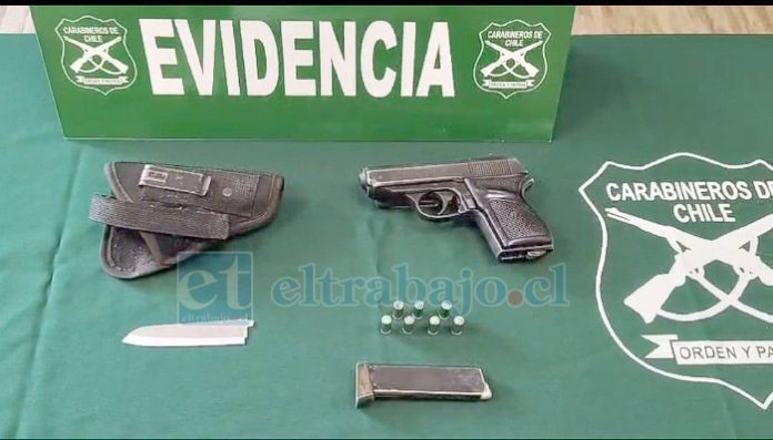 Estas son las especies incautadas en el procedimiento por violencia intrafamiliar en Putaendo.