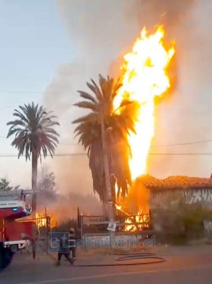 Incendio afectó casona abandonada en Bucalemu.