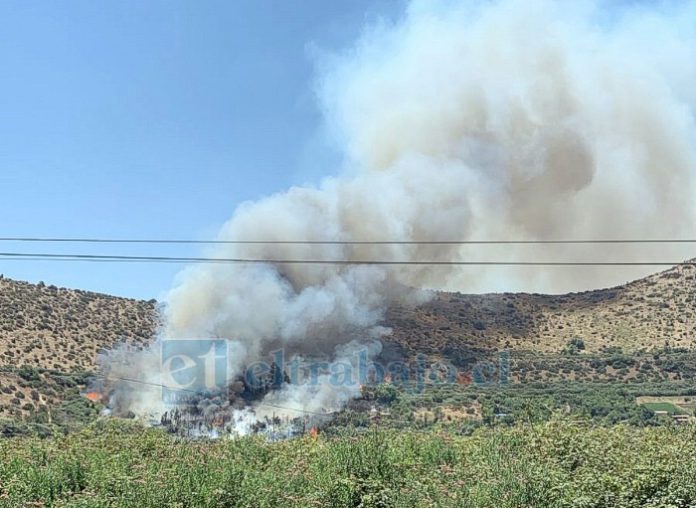 Conaf y PDI investigan las causas del incendio forestal de Catemu.
