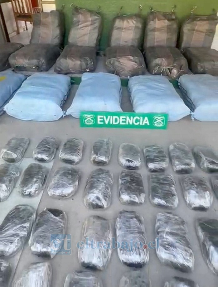 Parte de los más de 510 kilos de marihuana incautada.
