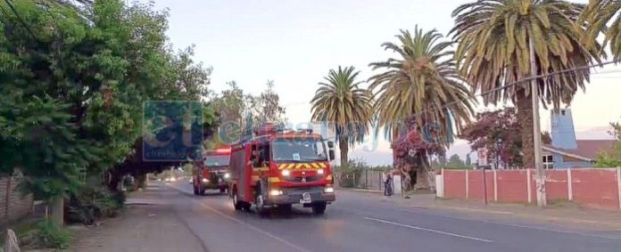 Bomberos de San Felipe se suman al combate de incendios en el sur.