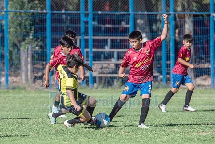 Los más pequeños también tuvieron su espacio en el evento deportivo organizado por el club La Higuera. 