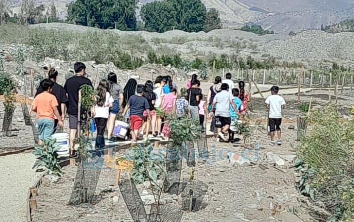 Las actividades se desarrollan al aire libre y buscan acercar a los participantes a la biodiversidad del valle y del Río Aconcagua.