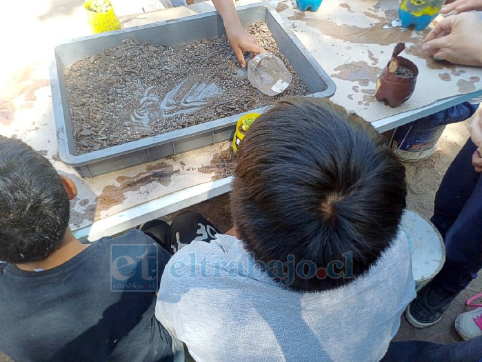 El proyecto contempla talleres de biodiversidad y restauración ecológica, además de jornadas de monitoreo comunitario, promoviendo el cuidado del entorno y la valoración del ecosistema local desde la infancia.