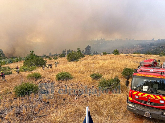 Unidades de la ciudad desplegadas en la zona. 
