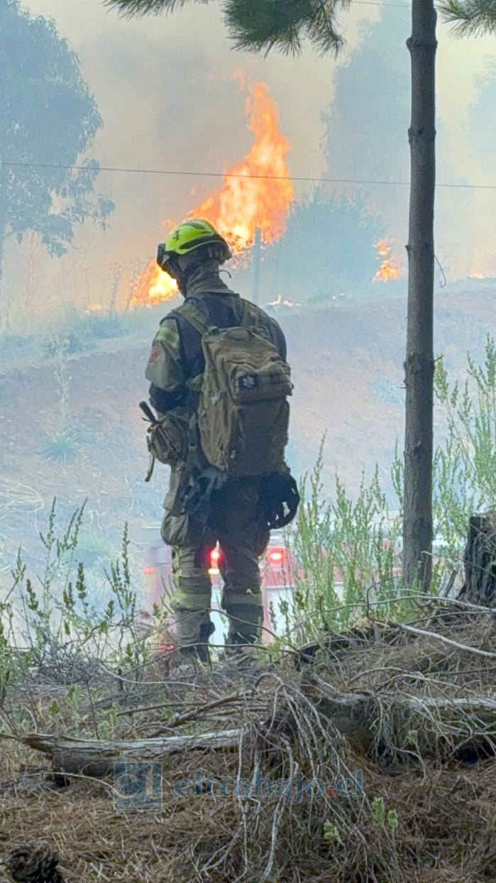 Voluntarios de San Felipe fueron clave con su trabajo. 