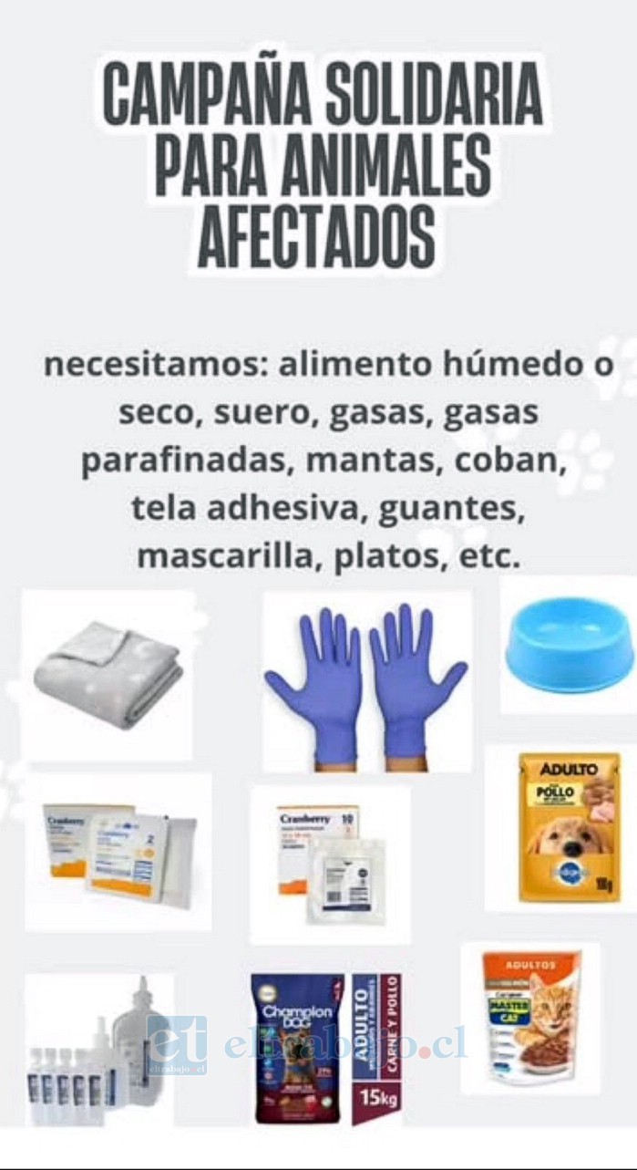 Insumos veterinarios, alimentos y aportes monetarios forman parte de la ayuda que será enviada directamente a clínicas veterinarias de la zona afectada.