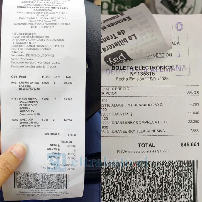 Boletas de algunas de las compras realizadas por la médico veterinaria de Concepción, Camilia Vera, en el marco de la campaña solidaria.