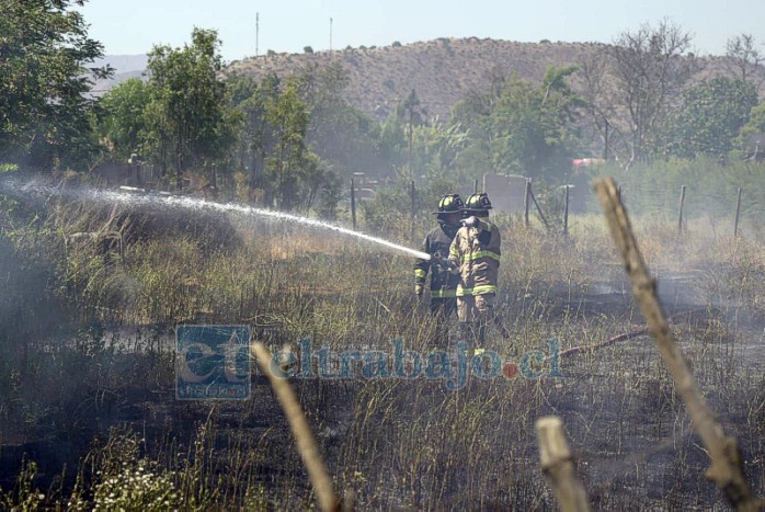 Un fallecido dejó incendio forestal en Catemu.
