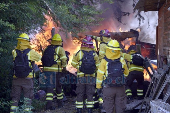 Bomberos y Conaf trabajaron en la emergencia.