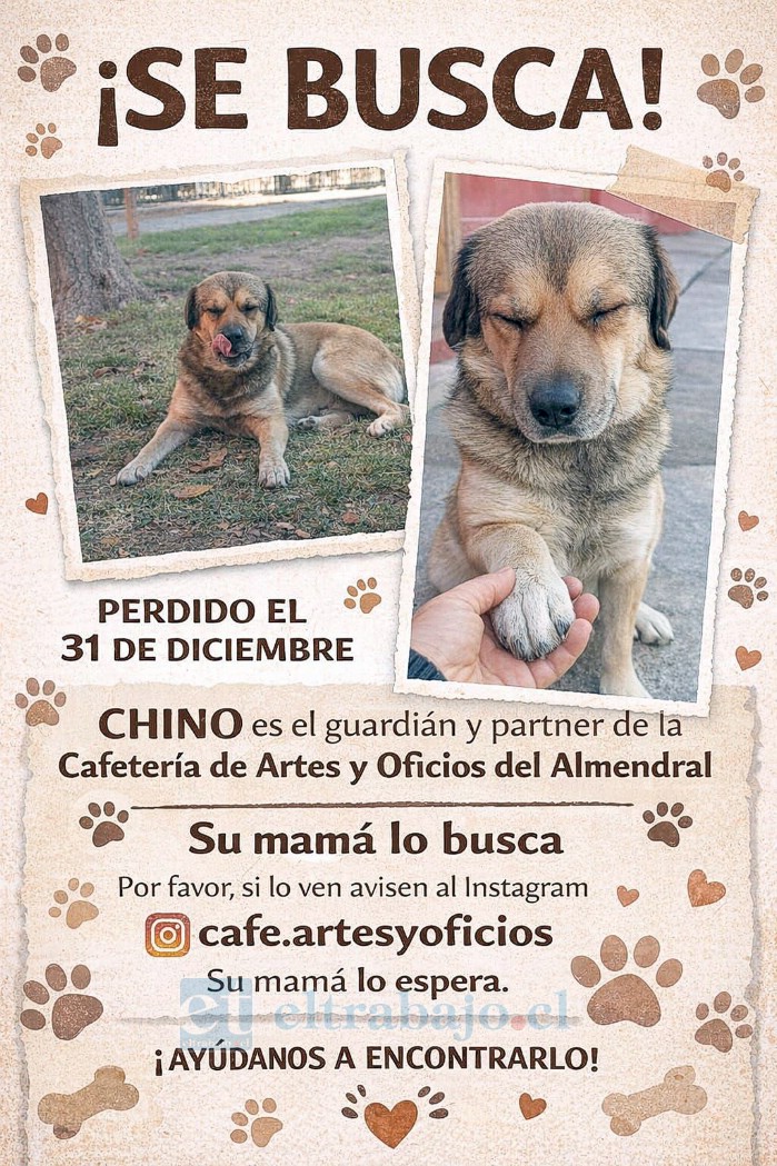 El querido ‘Chinito’ es buscado desde el 31 de diciembre en el sector de El Almendral.