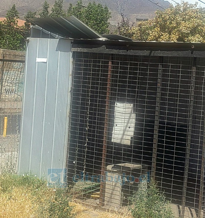 Bodega que fue vandalizada por delincuentes, desde donde sustrajeron una ‘mulita’ de transporte tras ingresar por el techo.