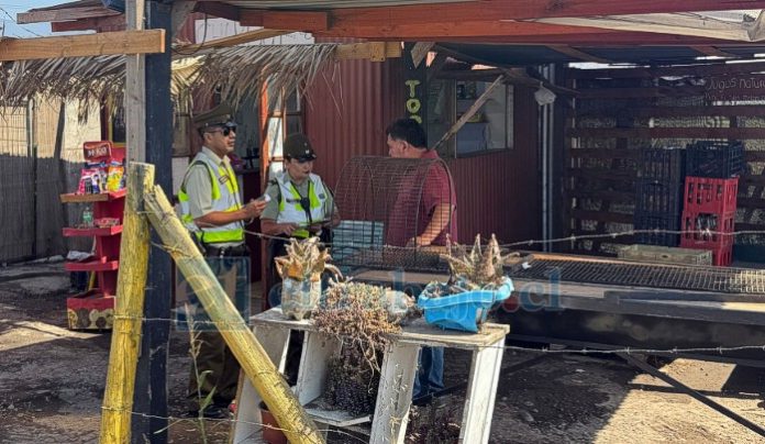 Carabineros comenzó socialización por inicio de obras del traslado del peaje Las Vegas.