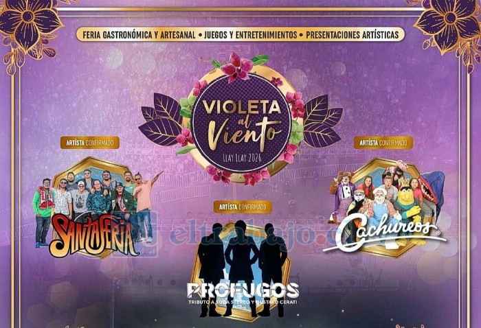 Este sábado se realizará el Festival Violeta al Viento de Llay Llay.