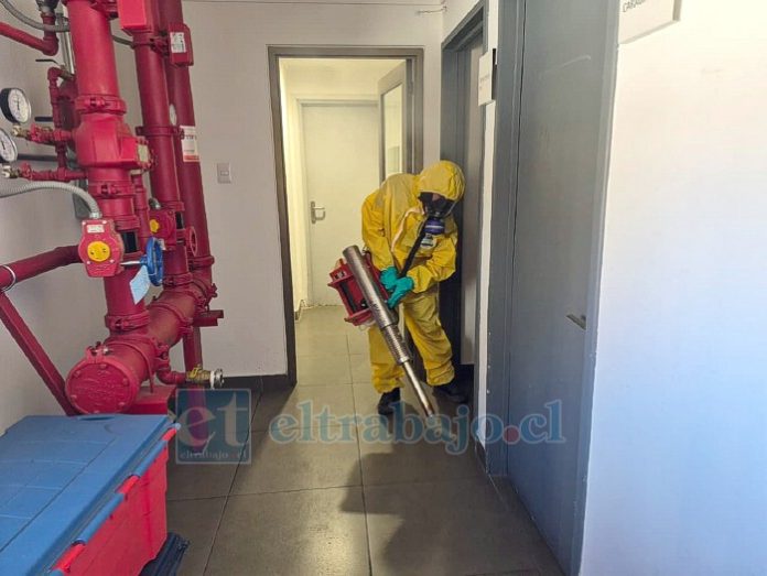 Comenzó labor de fumigación en el paso Los Libertadores.