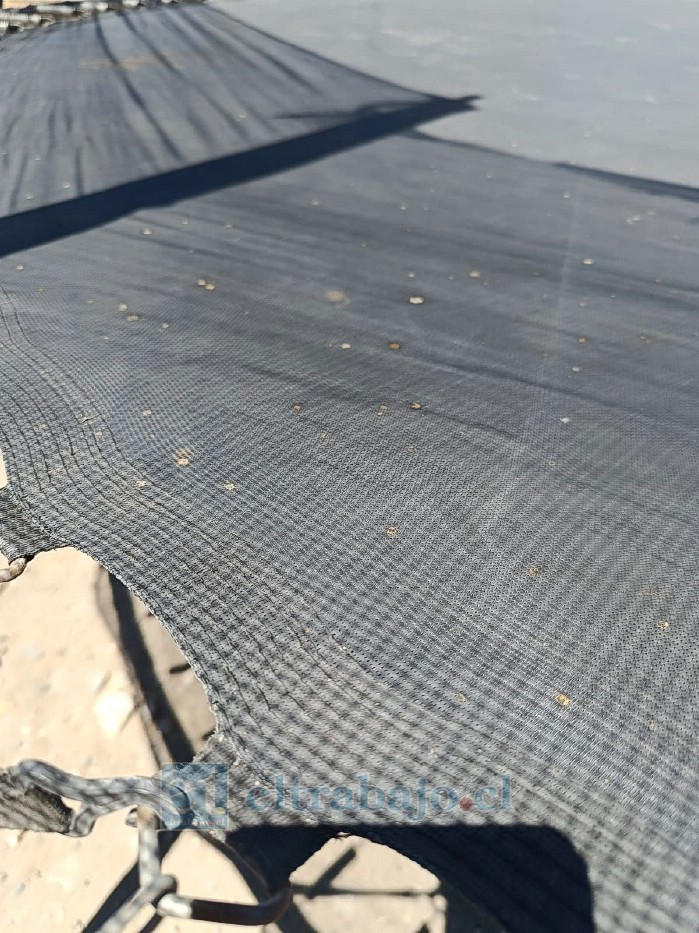 Más de 15 familias se verían afectadas por este fenómeno que, según residentes, ocurriría desde hace años.