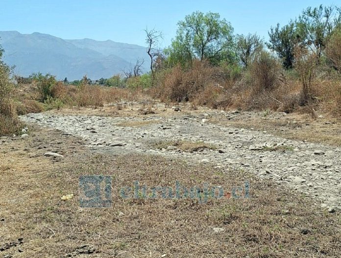 Vecinos del sector Tres Esquinas, en Tierras Blancas, denuncian que el cauce lleva más de dos meses sin agua, lo que está afectando la vegetación y el ecosistema del lugar.