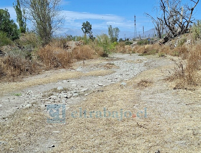 Residentes advierten que la ausencia de agua en el estero también está impactando a los animales que habitan en la zona.