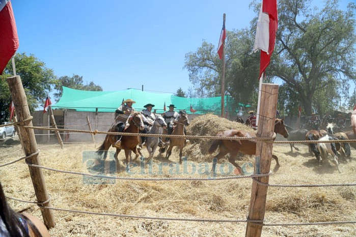 Fiesta de la Trilla se desarrolló con éxito en San Esteban.