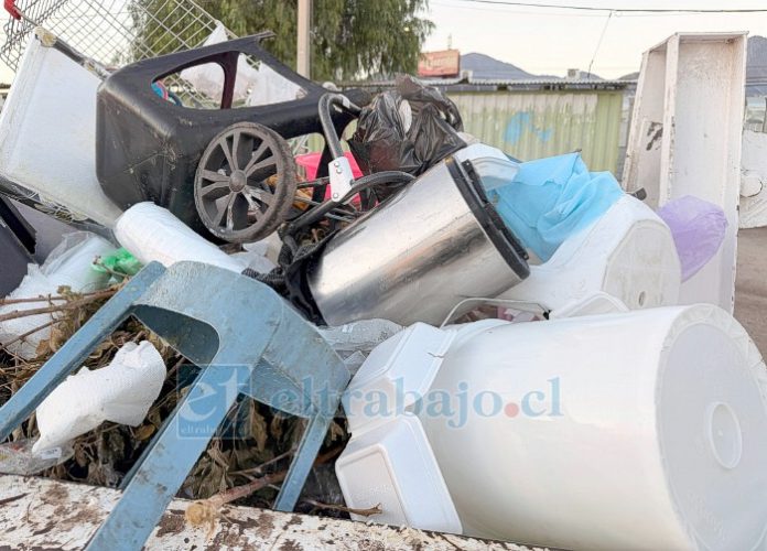 Autoridad Sanitaria fiscalizará intensivamente la instalación de cocinerías ilegales