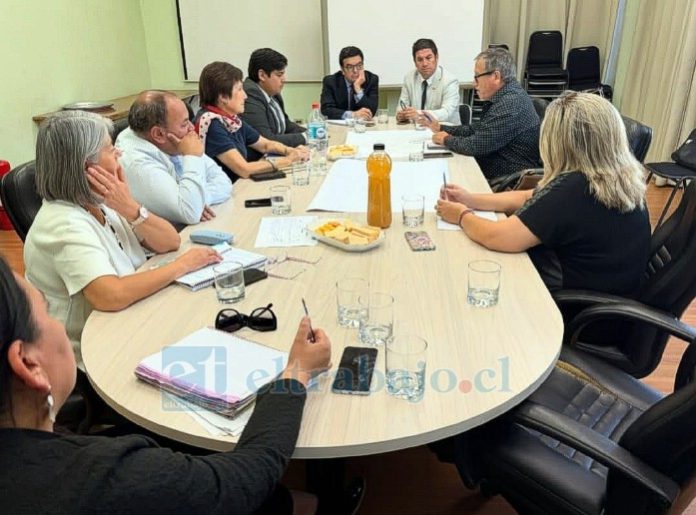 Delegado presidencial provincial en el consejo de seguridad de San Felipe.