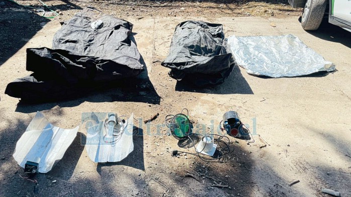 Elementos para el cultivo de la droga.