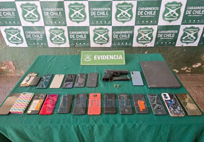 Estas son las especies recuperadas por Carabineros.