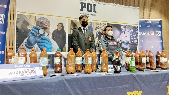 Incautan 58 kilos de ayahuasca en el Paso Los Libertadores.