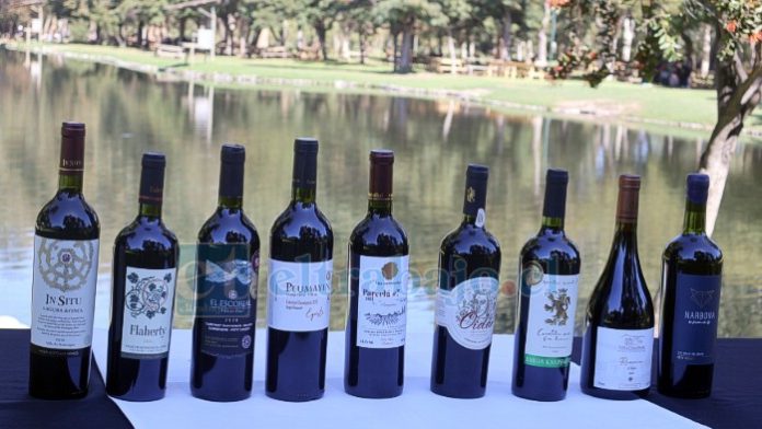 Todas las viñas de Viñateros de Aconcagua dirán presente en el evento.
