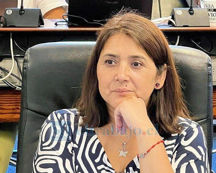 La consejera regional por la Provincia de San Felipe, Maricel Martínez Vicencio.