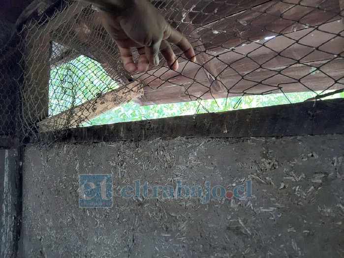 Los antisociales dañaron mallas y cierres perimetrales del recinto, situación que pone en riesgo la seguridad de los animales en proceso de recuperación.