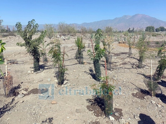 El espacio abierto a la comunidad busca promover la educación ambiental y la recuperación del entorno natural del sector.