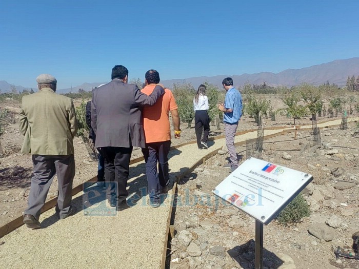 Vecinos y autoridades participaron en la actividad que busca recuperar espacios naturales y fomentar el cuidado del entorno en la comuna.