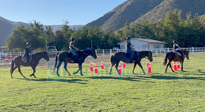 La equinoterapia ayuda a mejorar la movilidad, la coordinación y el bienestar emocional de personas con distintas condiciones.