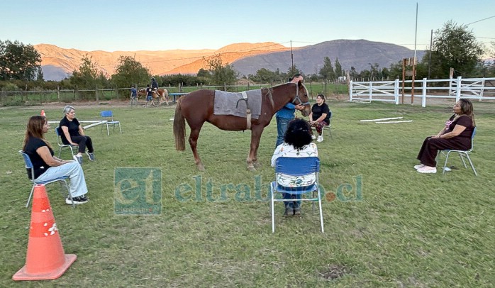 La fundación Forand se encuentra ubicada en el sector de Rinconada de Guzmanes, comuna de Putaendo.
