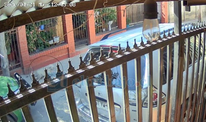 Registro de cámaras de seguridad muestra el momento en que un vehículo de Carabineros pasa por encima de la perrita en un pasaje de la Población Santa Brígida.