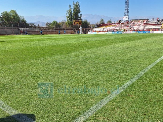 Así luce el recinto tras la resiembra.
