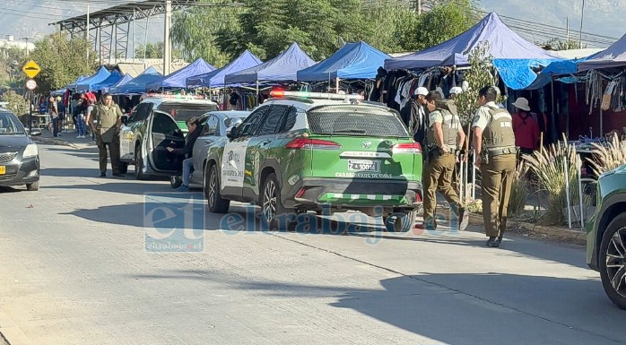 Carabineros y Seguridad Pública fiscalizaron la feria de Diego de Almagro. 