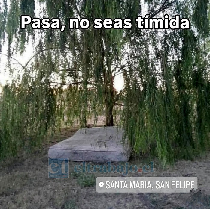 El contenido busca divertir con ideas o situaciones de nuestro propio territorio.