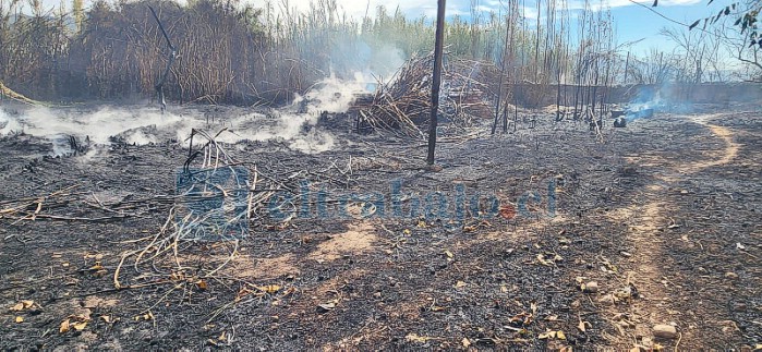 El siniestro se registró pasado el mediodía de este lunes.