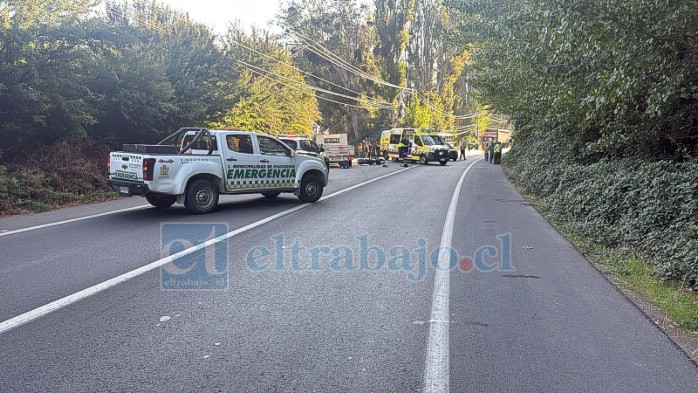 El fatal hecho ocurrió antes de las 18:00 horas y mantuvo la ruta cortada para las diligencias respectivas.