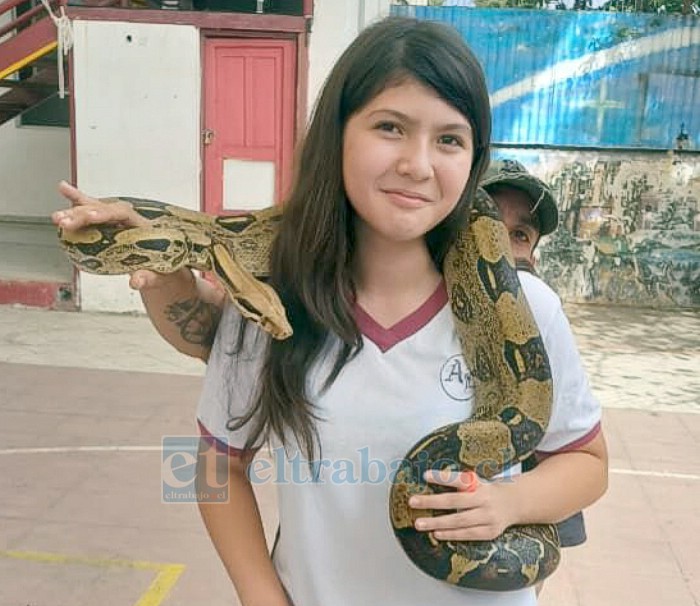 Tucanes, guacamayos, boas y lagartos fueron parte de la experiencia educativa.