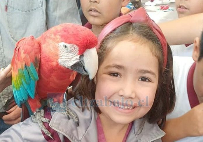 Niños y niñas vivieron una experiencia única.