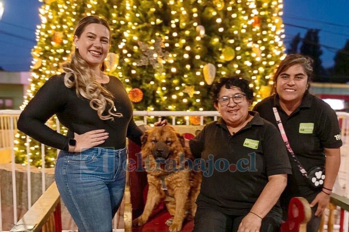 Ariana Araya junto a Macarena, presidenta de la agrupación Pro Animal Calle Larga, y Yeimy, en una fotografía navideña junto a ‘Tocino’, perrito comunitario.
