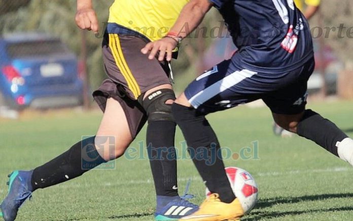 Durante estos días habrá certeza sobre la cantidad de clubes que tendrá el torneo de San Felipe.